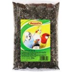 AVICENTRA slunečnice černá 500 g – Zboží Dáma