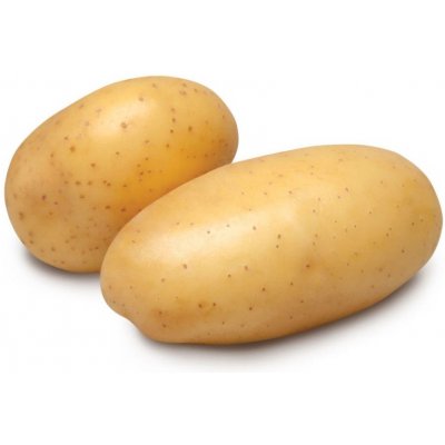 Sadba brambor ADÉLA (pytel 5kg, sadbové brambory) – Zboží Dáma