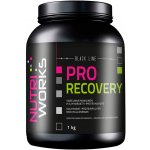 NutriWorks Pro Recovery 2000 g – Zboží Dáma