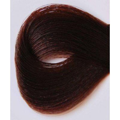 Black Sintesis barva na vlasy 4.36 kaštan 100 ml
