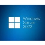 Windows Server CAL 2022 Eng 1pk 5 Clt Dev CAL OEM R18-06430 – Zboží Mobilmania