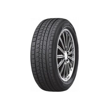 Roadstone Eurovis Alpine WH1 205/55 R16 91H