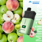 Hayati Mini Ultra Sour Apple Juicy Peach 20 mg 1500 potáhnutí – Hledejceny.cz