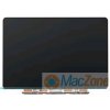 displej pro notebook Apple MacBook Pro 13" Retina A1502 Early 2015 LCD TN panel