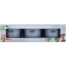 Yankee Candle Majestic Mount Fuji 3 x 37 g