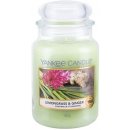 Yankee Candle Lemongrass & Ginger 623 g