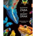 Rajčatová žába a modrý drak – Hledejceny.cz