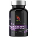 Carnium Botanicals Black Ginger Extract 30 kapslí – Hledejceny.cz