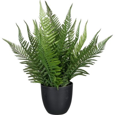 Umělá Kapradina v květináči, 39cm – Zboží Dáma