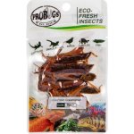 ProBugs Eco-Fresh Saranče stěhovavá 8 ks – Zbozi.Blesk.cz