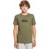 Dětské tričko Quiksilver YOUTH COMP LOGO TEE Four Leaf Clover GPH0