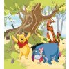 Tapety AG Design FTDNXL-5137 Fototapeta vliesová Disney Medvídek Pú rozměry 180 x 202 cm