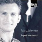 Schumann Robert - Piano Works CD – Hledejceny.cz
