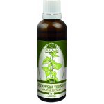 Naděje Źidovská třešeň 50 ml – Hledejceny.cz
