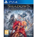 Shadows: Awakening – Zboží Dáma