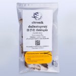 Pragon Citroník dužnatoprstý Foshougan 25 g – Zboží Dáma