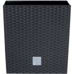 Prosperplast RATO LOW antracit 26.2 x 26.2 x 26.6 cm – Zboží Dáma