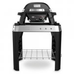 Weber PULSE 1000 – Zboží Dáma