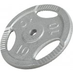 Gorilla Sports litinová zátěžová deska 10 kg 280 mm – Hledejceny.cz