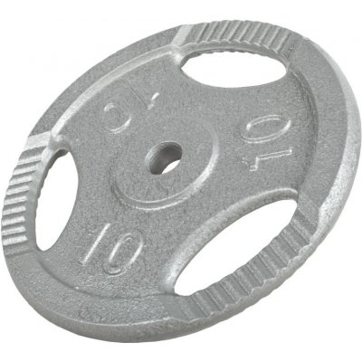 Gorilla Sports litinová zátěžová deska 10 kg 280 mm – Hledejceny.cz