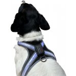 Reedog svítící kšíry pro velké psy – Zbozi.Blesk.cz