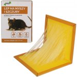 Lapač hmyzu GlueBook na lezoucí hmyz – Zboží Dáma