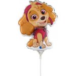 GRABO fóliový balónek MINI Skye 14" 35cm nafukovací – Zboží Dáma