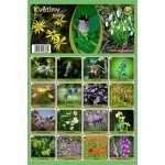 Artline Pexeso: Květiny – Zboží Živě