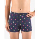 Gina dětské trenky volné chlapecké šité s potiskem 25016P lékořice šípková – Zboží Dáma