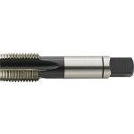 FORMAT Sada ručních závitníků din2181 hss m6x0,75 format – Hledejceny.cz