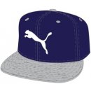 adidas RUNNING FB CAP