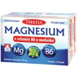 Terezia Magnesium + vitamin B6 a meduňka 30 kapslí – Hledejceny.cz