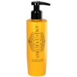 Orofluido Conditioner Colour Protection 200 ml – Zbozi.Blesk.cz