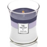WoodWick Trilogy Evening Luxe 275 g – Zboží Dáma