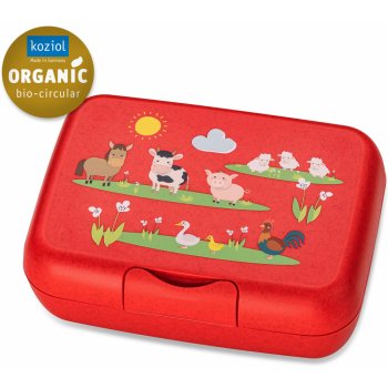 Koziol - Candy L kids lunch box