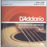 D'addario EJ17 – Sleviste.cz