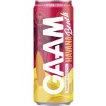 Gaam Kiwi 330 ml – Zboží Dáma