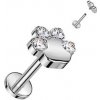 Piercing Šperky4U piercing do brady tlapka TITAN TIT1248-1208