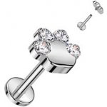 Šperky4U piercing do brady tlapka TITAN TIT1248-1208 – Zboží Dáma