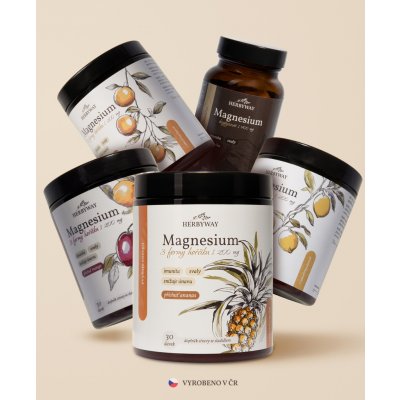 Herbs Energy Magnesium Drink 4 x 30 dávek + Herbs Energy Magnesium Hořčík Bisglycinát 60 kapslí set – Hledejceny.cz