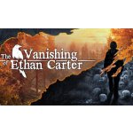 The Vanishing of Ethan Carter – Hledejceny.cz