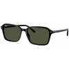 Sluneční brýle Ray-Ban RB2231 901 31