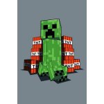 JERRY FABRICS Fleece deka Minecraft TNT – Sleviste.cz
