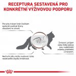 Royal Canin Veterinary Diet Cat Gastrointestinal 0,4 kg – Zboží Dáma