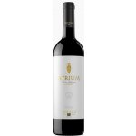 Torres Atrium Merlot 14% 0,75 l (holá láhev) – Hledejceny.cz