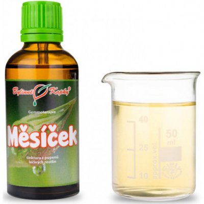Bylinné kapky Gemmoterapie Měsíček pupeny tinktura z pupenů 50 ml – Hledejceny.cz