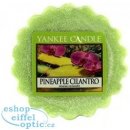 Yankee Candle vosk Pineapple Cilantro 22 g