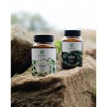 ADAPTO GREEN + TL GREEN Green idea 180 tablet – Hledejceny.cz
