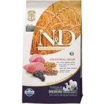 N&D Ancestral Grain Dog Adult Medium & Maxi Lamb & Blueberry 2 x 12 kg – Sleviste.cz