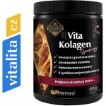 VitaKolagen Synergy 315 g – Hledejceny.cz